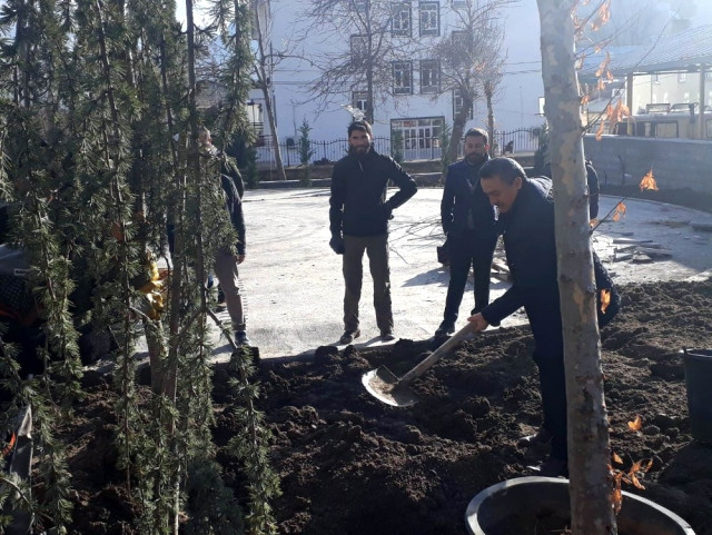 Başkan Tutal, Millet Parkı’na Ağaç Dikti