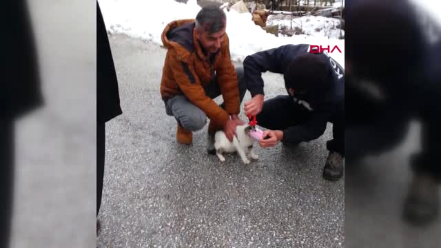 Konya Kafası Konserve Kutusuna Sıkışan Kediyi, Belediye Çalışanları Kurtarıldı