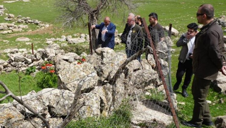 Köylüler, yılın yalnızca 20 günü açan zıt lalelerin başında nöbet tutuyor! Koparmanın cezası 244 bin lira