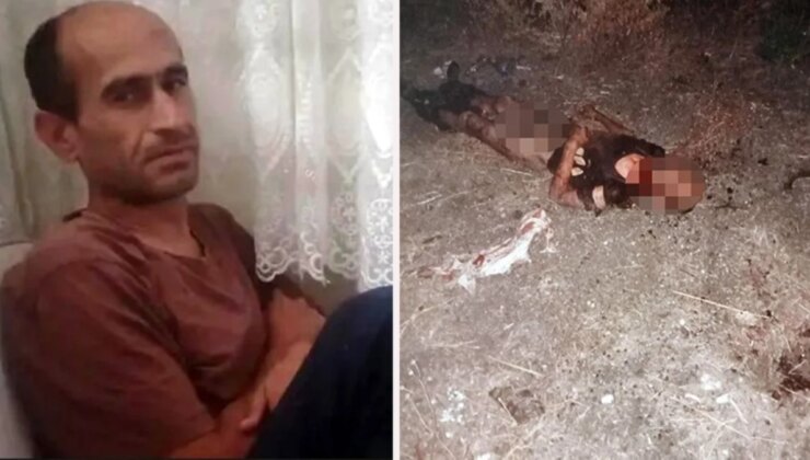 Sokak köpekleri parçalayarak öldürmüştü! Şanssız adamın yaşadığı vahşet hastane raporunda